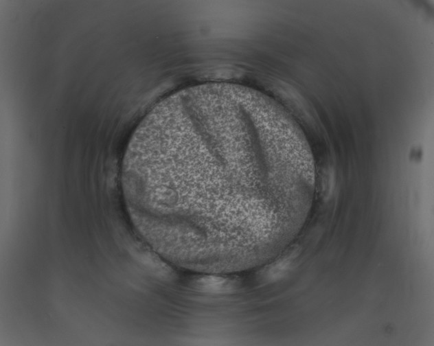 X0000092080326200710101045