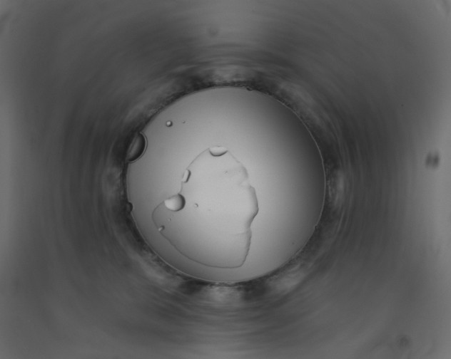 X0000092080327200710101045