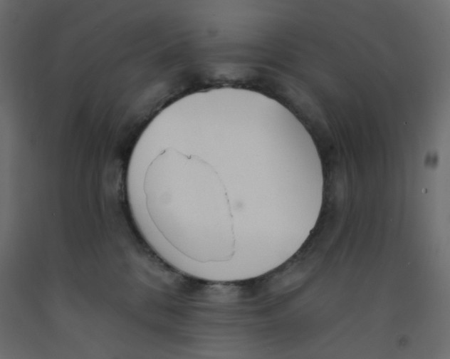 X0000092080328200710101045