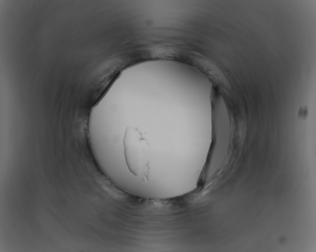 X0000092080329200710101045