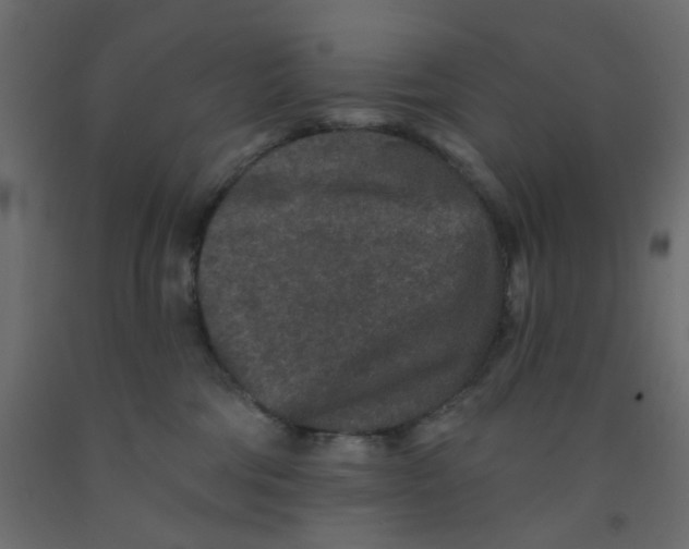 X0000092080330200710101045