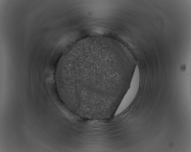 X0000092080331200710101045