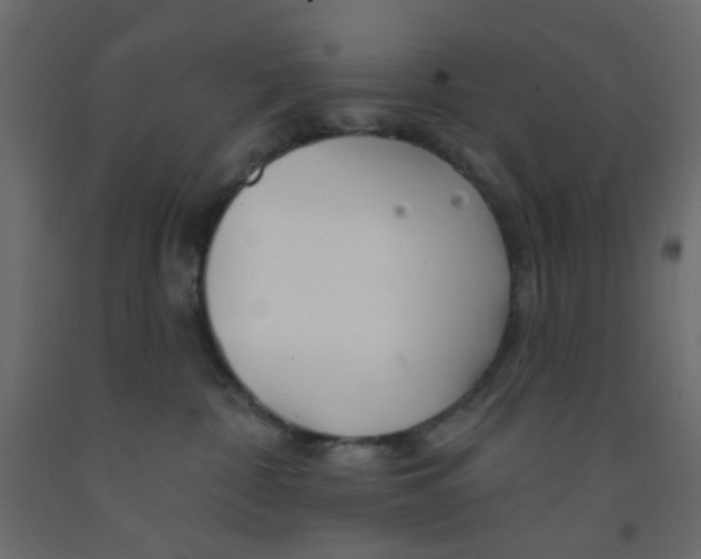 X0000092080332200710101045