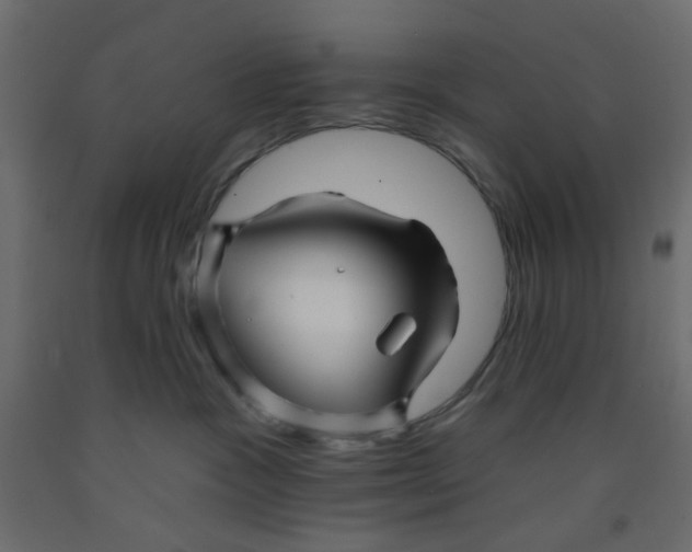 X0000092080333200710101045