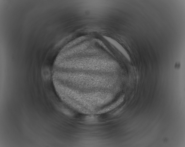 X0000092080335200710101045