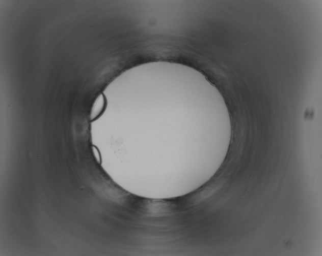 X0000092080336200710101045