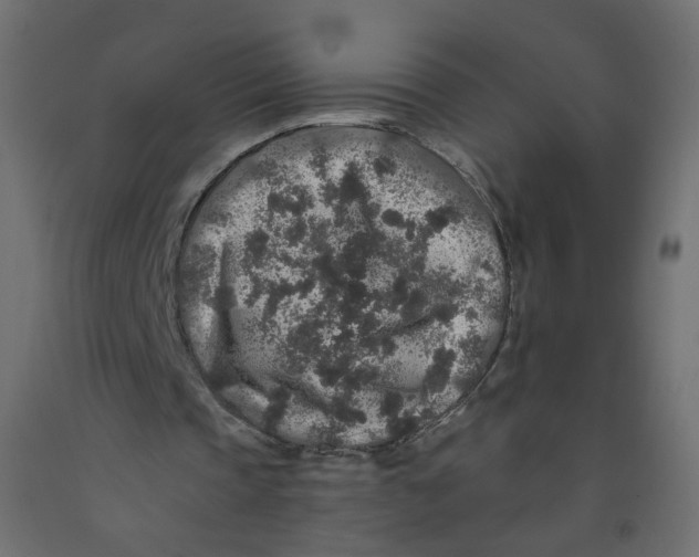 X0000092080337200710101045