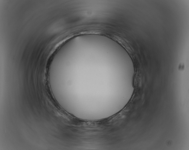 X0000092080338200710101045