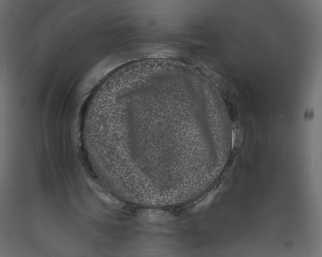 X0000092080339200710101045