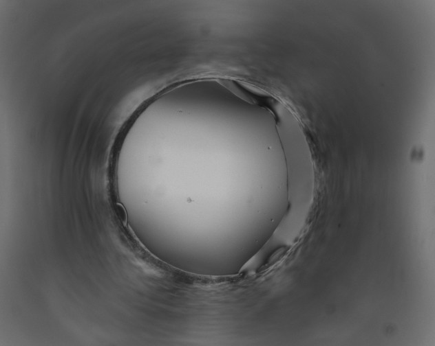 X0000092080340200710101045