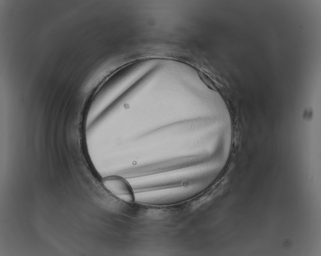 X0000092080341200710101045