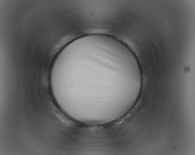 X0000092080345200710101045