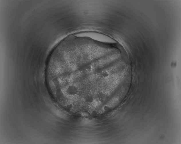 X0000092080346200710101045