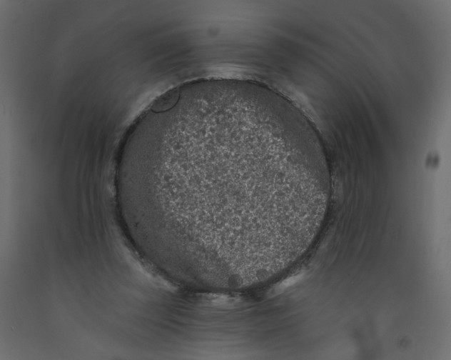 X0000092080347200710101045