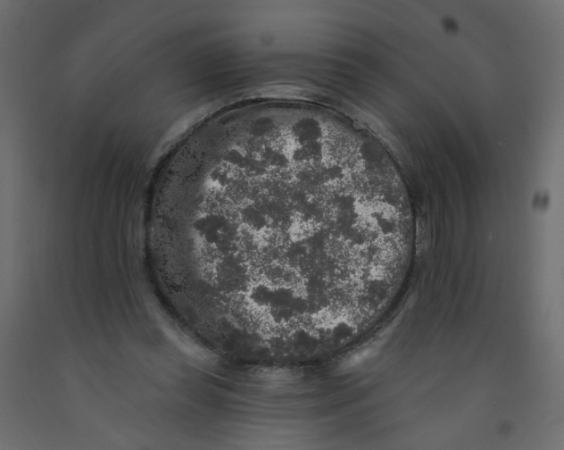 X0000092080349200710101045