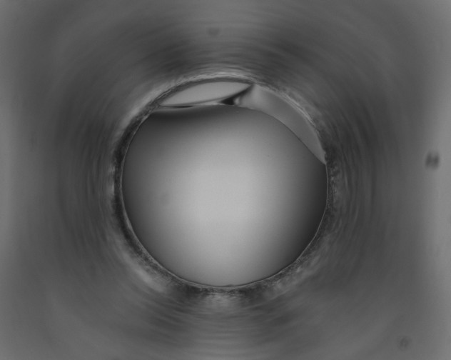 X0000092080350200710101045