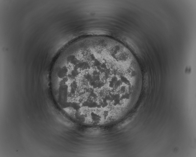 X0000092080351200710101045