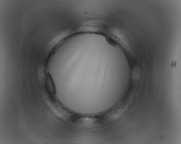 X0000092080352200710101045