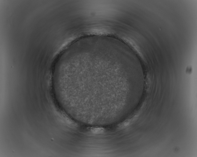 X0000092080355200710101045