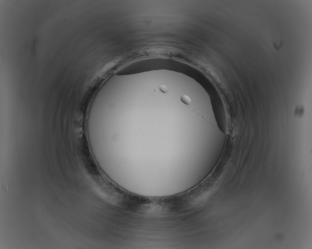 X0000092080356200710101045