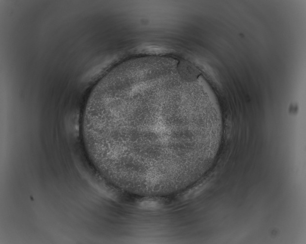 X0000092080358200710101045