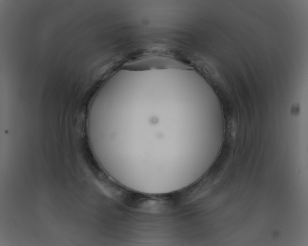 X0000092080364200710101045