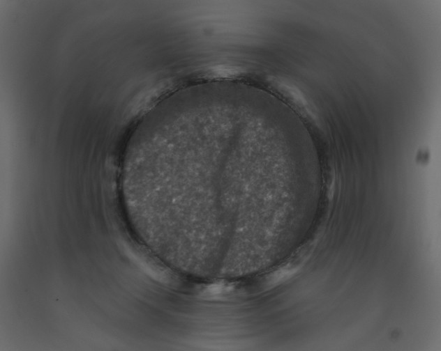 X0000092080366200710101045