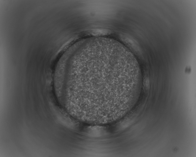 X0000092080367200710101045