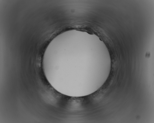 X0000092080368200710101045