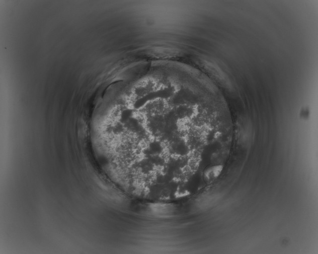 X0000092080371200710101045