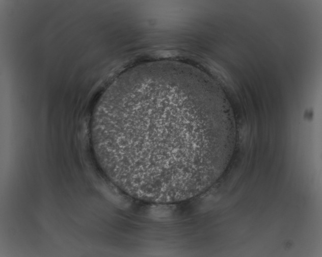 X0000092080373200710101045