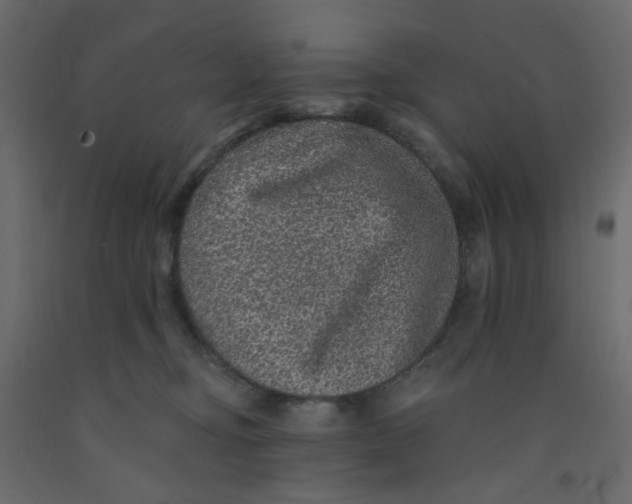 X0000092080374200710101045