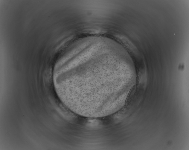 X0000092080376200710101045