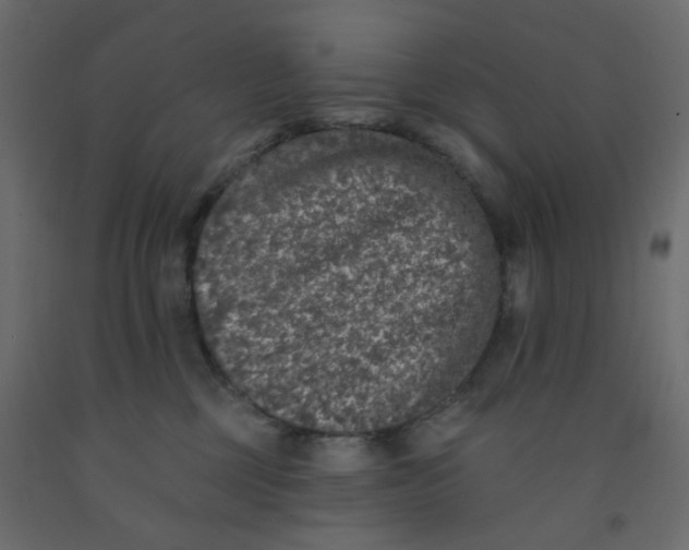 X0000092080377200710101045