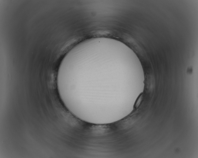 X0000092080378200710101045