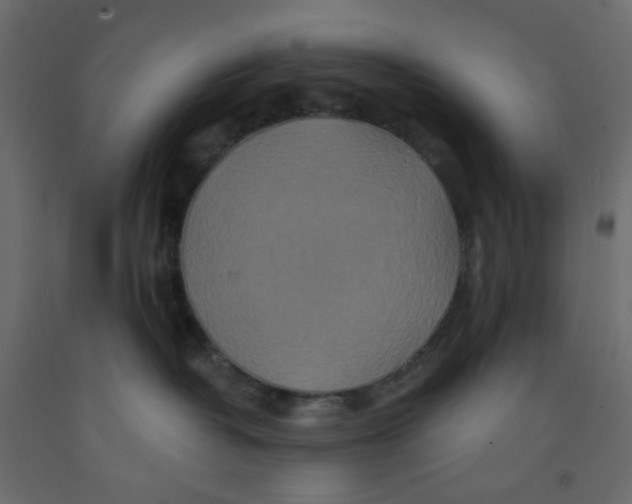 X0000092080382200710101045