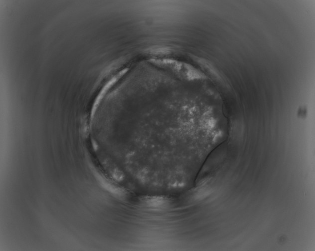 X0000092080383200710101045