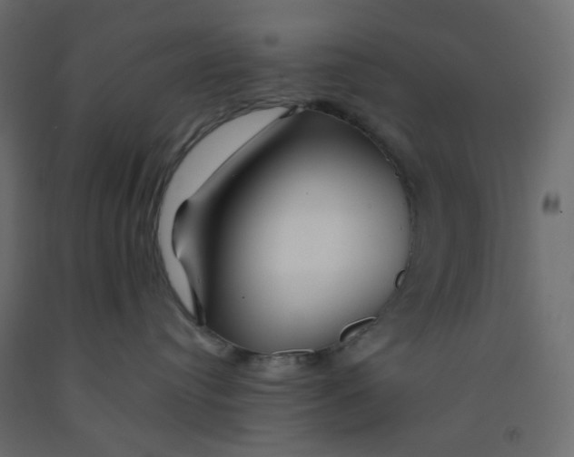 X0000092080384200710101045