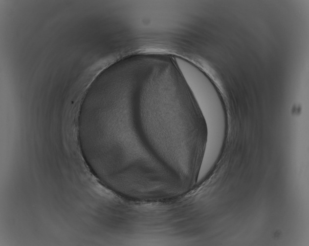 X0000092080385200710101045