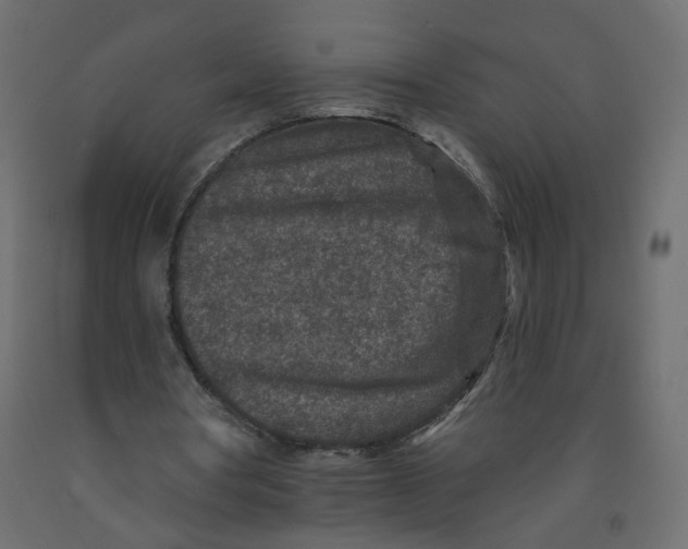 X0000092080386200710101045