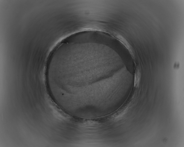 X0000092080387200710101045