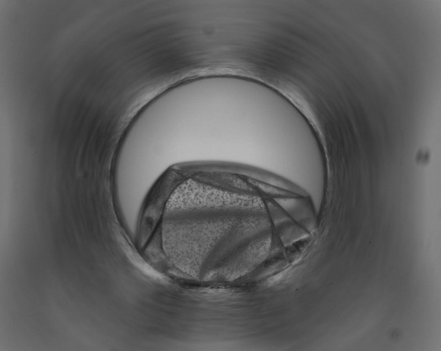 X0000092080389200710101045