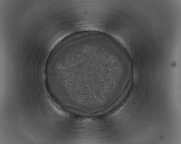 X0000092080390200710101045