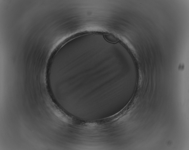 X0000092080391200710101045