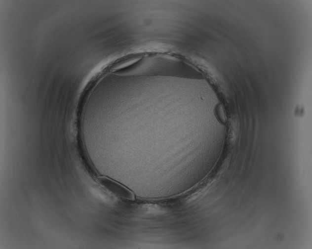 X0000092080392200710101045