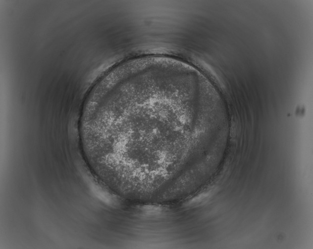 X0000092080394200710101045