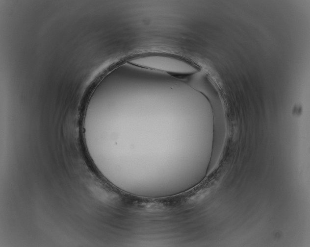 X0000092080395200710101045