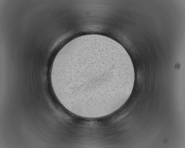 X0000092080396200710101045