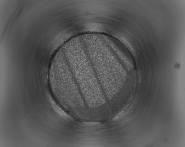 X0000092080397200710101045