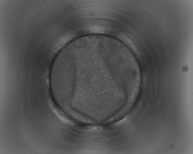 X0000092080398200710101044